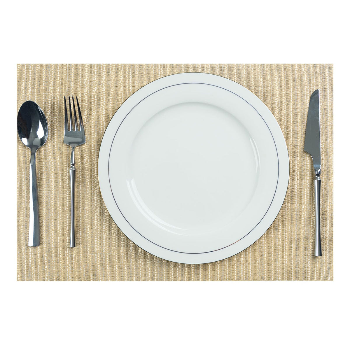 AHHFSMEI Placemats Set of 6 Washable Woven Vinyl Placemats for Dining Table Heat Resistant Non-Slip Stain Resistant Table Mats for Kitchen & Home Decor(White,6)